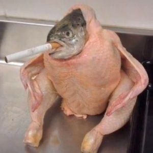 Meet your Posher, Mary